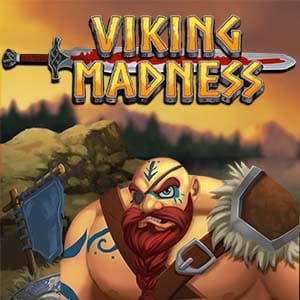 #Viking Madness screenshot